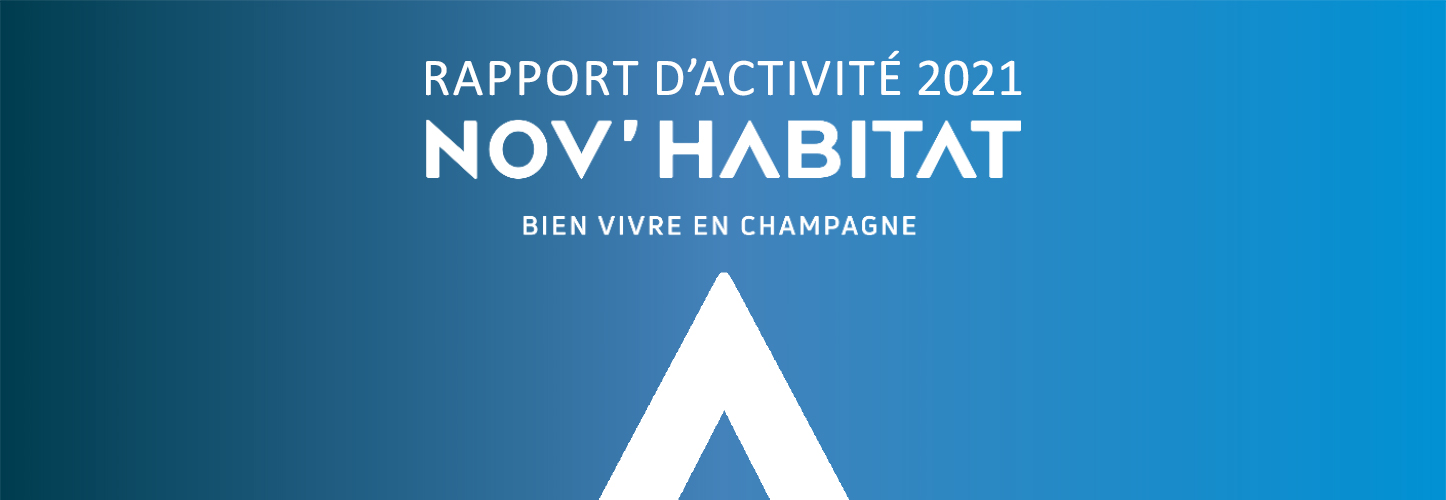 Bandeau rapport d'activite 2021